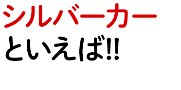 シルバーカーと介護用品の専門店【楽々屋】